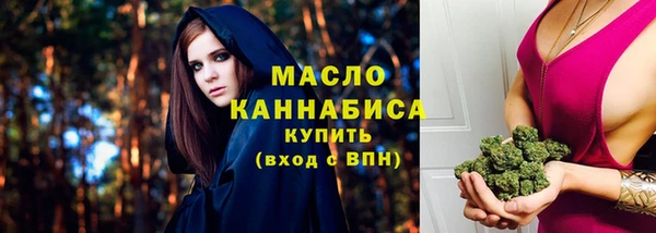 амф Бородино