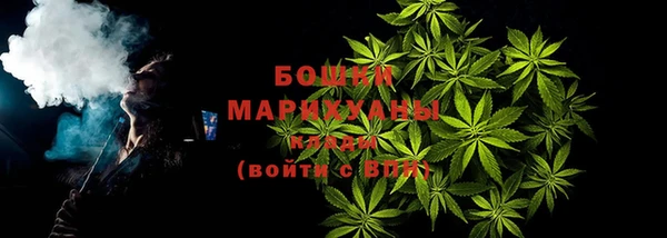 амф Бородино