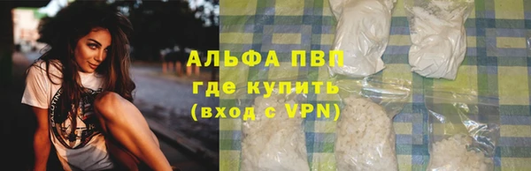 индика Бугульма