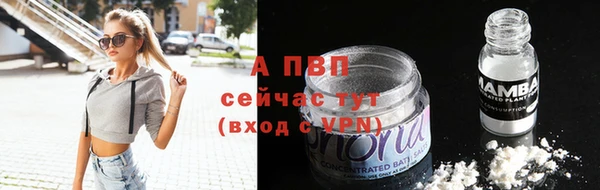 индика Бугульма
