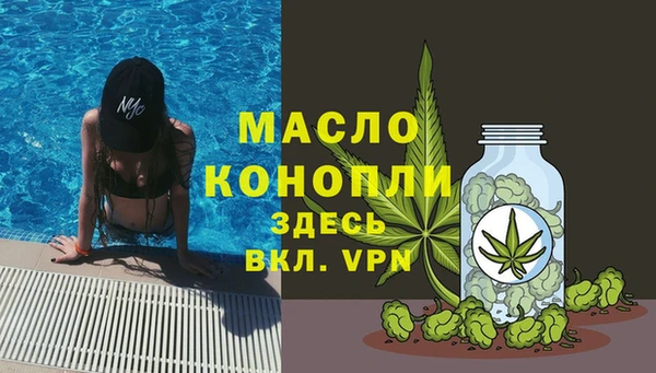 индика Бугульма