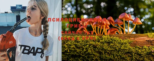 амф Бронницы