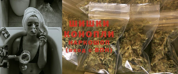 индика Бугульма