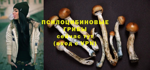 индика Бугульма