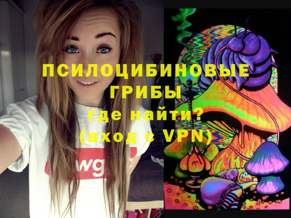 амф Бородино