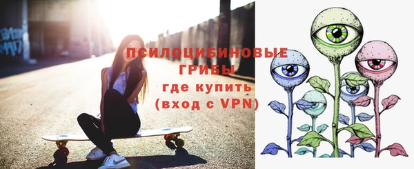 амф Бронницы
