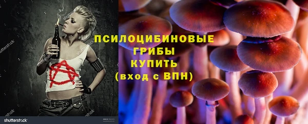 амф Бородино