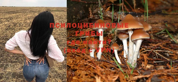 амф Бронницы
