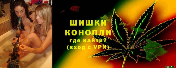 индика Бугульма