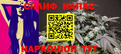 индика Гагарин