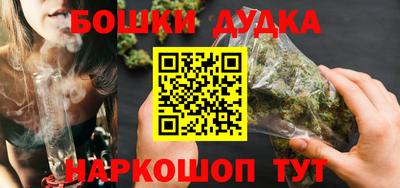 индика Гагарин