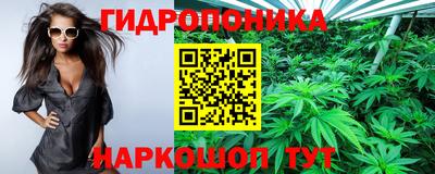 эйфоретик Гай