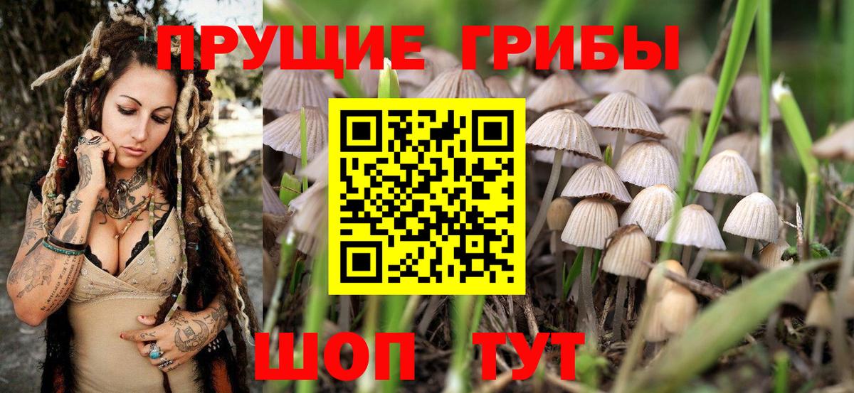 Меф МЯУ МЯУ кристаллы  ГАШ  Вход с VPN  Лсд 25  ГАШ  Кстово  Alpha PVP СОЛЬ  