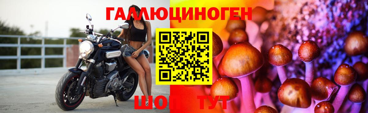Кстово  Псилоцибиновые грибы мицелий  Вход с VPN 